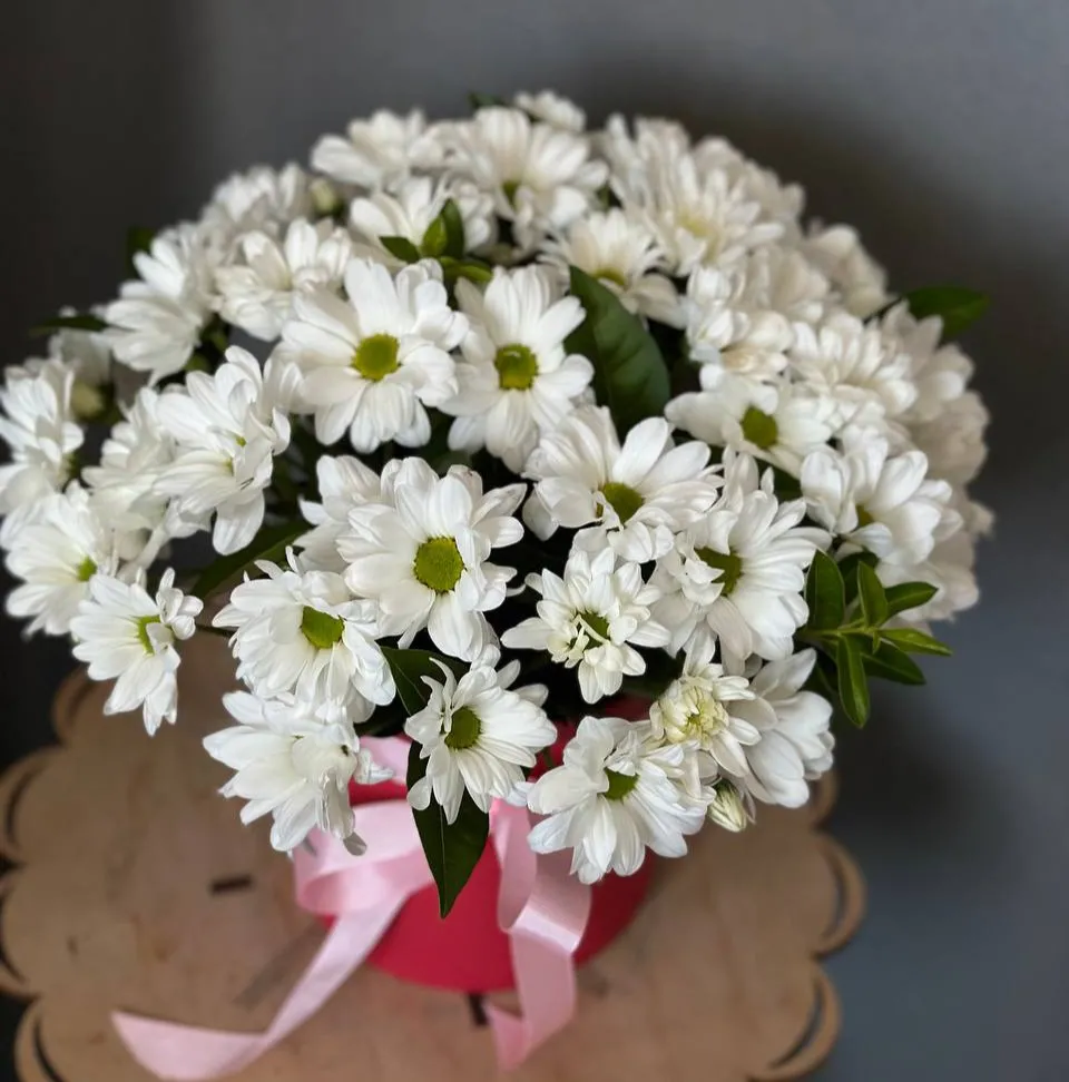 Ошибка: HTTPSConnectionPool(host='buy-flowers.ru', port=44 — изображение 2