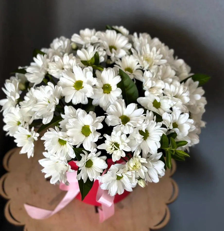 Ошибка: HTTPSConnectionPool(host='buy-flowers.ru', port=44 — изображение 3